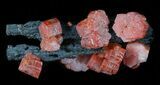 Red Vanadinite Crystals on Manganese Oxide - Morocco #38512-1